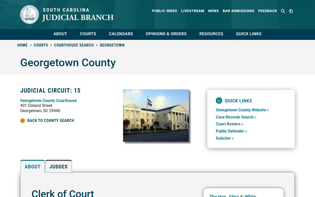 Georgetown County traffic ticket records SC Courts